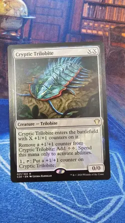 Cryptic Trilobite Commander 2020 Regular - Image 1