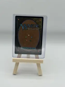 Ajani, Outland Chaperone Lorwyn Eclipsed Magic MTG NM - Image 2