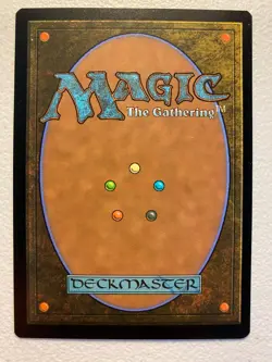MTG 1x FOIL Stormcarved Coast # 263 Secrets of Strixhaven Magic Gathering x1 NM - Image 2