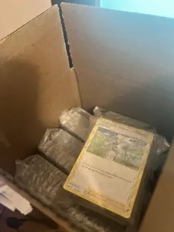 900+ Cards Non-holo Trainer Bulk (All trainers, No Pokemon Or Energy) - Image 1