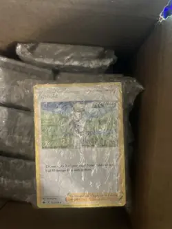 900+ Cards Non-holo Trainer Bulk (All trainers, No Pokemon Or Energy) - Image 2
