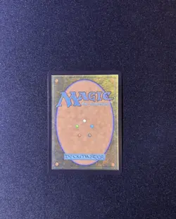 MTG Final Fantasy Lulu, Stern Guardian Chocobo Track Foil #467 - Image 2