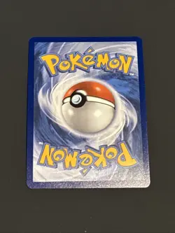 Pokemon TCG Litleo 139/132 ME01 Mega Evolution Illustration Rare Holo 70HP NM - Image 4