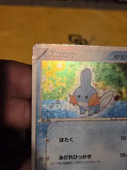 Mudkip 003/019 Mudkip Deck Pokemon Japanese Heavily Played - Image 3