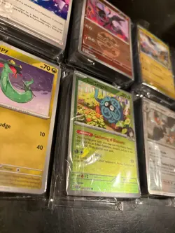 Pokemon TCG Ascended Heroes Bulk Lot - 550 Cards - C/UC/Holo/Reverse - Near Mint - Image 5