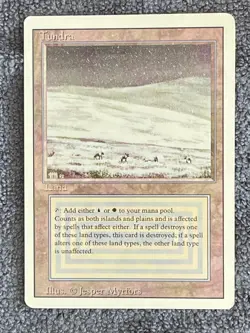 Magic the Gathering Tundra Dual Land Revised 3rd Edition #289 NM - Image 1