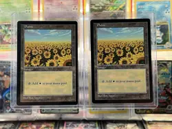 Magic the Gathering Plains Red Pack (Spears) Apac Lands Regular NM MTG - Image 1