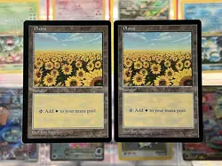 Magic the Gathering Plains Red Pack (Spears) Apac Lands Regular NM MTG - Image 2