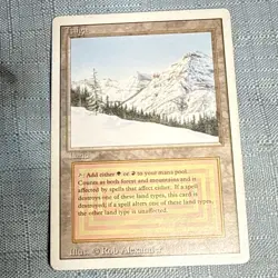 Magic: The Gathering Taiga - Revised Edition - MP - Image 1