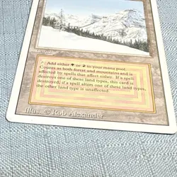 Magic: The Gathering Taiga - Revised Edition - MP - Image 3