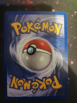 Pokemon - Swinub - 84/105 - Neo Destiny COMMON Near Mint WOTC x2 - Image 4