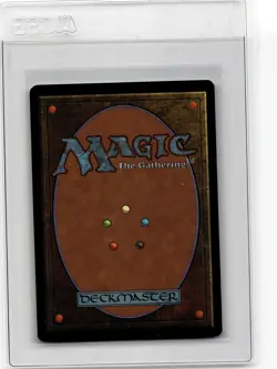 Magic MTG - Brushland EX-NM Sixth 6th Edition - Image 2