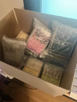 2000+ Pokemon Cards Bulk Lot Commons/Uncommons No Trainers or Energies! - Image 3