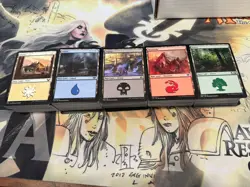 500 Magic the Gathering Basic Land - 100 of each + Card Storage Box - MTG LOT - Image 1