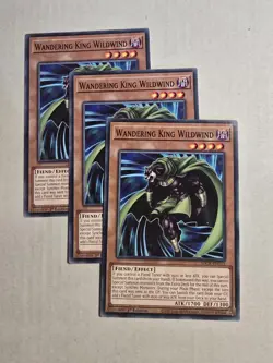 3x Wandering King Wildwind 1st Edition Common SDCK-EN013 Yu-Gi-Oh! - Image 1
