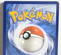 Pidgey 207/197 IR SV03 Obsidian Flames Illustration Rare Holo Pokemon TCG NM-LP - Image 5