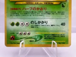 Pokemon Card Chikorita Bayleef Meganium Intro Pack 3 Set Chikorita Deck Japanese - Image 4