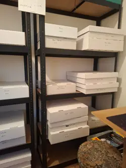 MTG MAGIC THE GATHERING BULK collection - Image 1