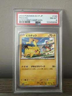 2023 Pokemon Japanese Pikachu Gym Event Champaign PSA NM-MT 8 #120 - Image 1