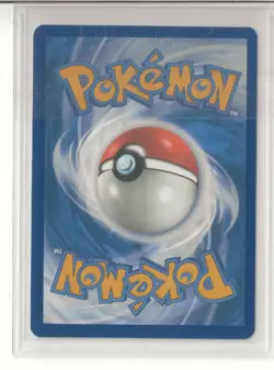 Noctowl Holo Promo SV: Scarlet & Violet Promo Cards 141 NM - Image 2