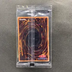 NEW 3 card Blue-Eyes White Dragon SSC1-JP001 Normal Parallel Rare YuGiOh 3170 - Image 3