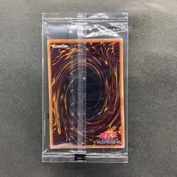 NEW 3 card Blue-Eyes White Dragon SSC1-JP001 Normal Parallel Rare YuGiOh 3170 - Image 5
