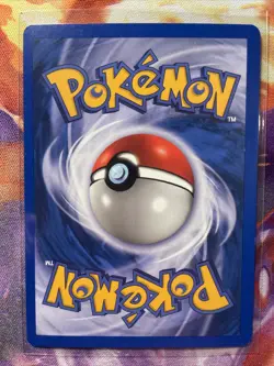 Swinub 1st Edition Non Holo Pokemon TCG Card 57/64 Neo Revelation Light Play - Image 3