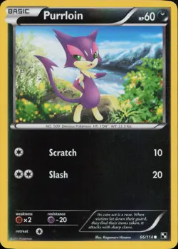 Purrloin 66/114 Common Black & White Pokemon Reverse Holo Lightly Played - Image 1
