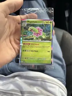 Pokemon Mega Evolution Prerelease STAFF Promo (Set of 4) SEALED - Image 1