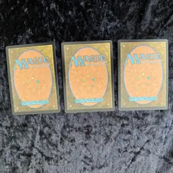 MTG-Inti, Seneschal Of The Sun - LCI 156 Rare Regular NM X3! - Image 5