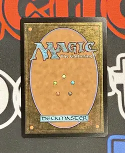 Brotherhood Regalia (Non-foil) Universes Beyond: Assassin's Creed 0071 U MTG a27 - Image 2