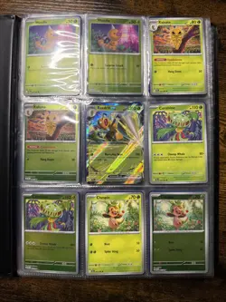 Pokemon Tcg Chaos Rising Set/ Binder With All Common/holo/reverse Holo base ex - Image 2