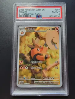 2025 POKEMON WHT EN-WHITE FLARE ILLUSTRATION RARE #097 PIGNITE PSA 8 - Image 1
