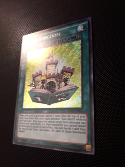 Yu-Gi-Oh! Toon Kingdom, DRL2-EN023, Secret Rare, 1. Edition, Englisch, Near Mint - Image 2