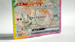 Eevee ex SAR 223/187 sv8a Terastal Festival ex Pokemon Card Japanese - Image 3