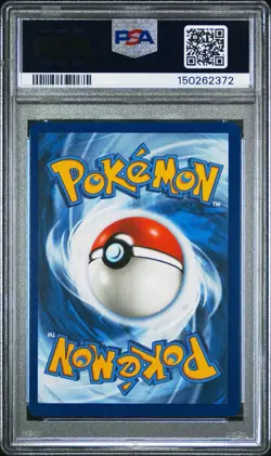2025 Pokemon Phantasmal Flames Dewgong Illustration Rare #097/094 PSA 8 - Image 2