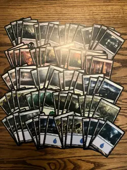 Time Spiral Basic Land Lot x80 Magic the Gathering Time Spiral Land 4x Each Art - Image 1