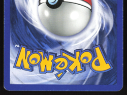 Totodile - 81/111 - Common - Neo Genesis - Pokemon Card - DMG - Image 4