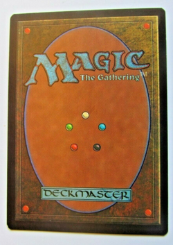 Magic The Gathering - Plains (APAC Clear) Card - Promotional - Image 2