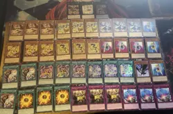 Yugioh Lyrilusc Deck W/ Extra Deck + Bonus - Image 1