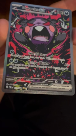 Morpeko EX 117/084 SIR Pokemon Pitch Black ME05 NM English - Image 2