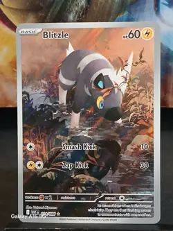 Blitzle 114/086 White Flare English Pokemon Card Illustration Rare NM - Image 2