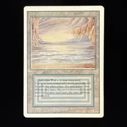 MTG Underground Sea Revised LP- Dual Land #2 - Image 1