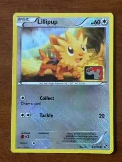 Lillipup - (League Promo) 081/114 League & Championship Cards Reverse Holo - Image 1