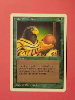 Natural Selection Unlimited MTG Magic Card 1994 Mark Poole - Image 2