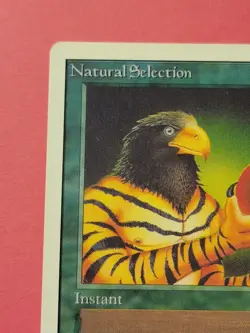 Natural Selection Unlimited MTG Magic Card 1994 Mark Poole - Image 3