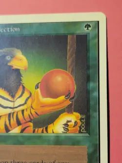 Natural Selection Unlimited MTG Magic Card 1994 Mark Poole - Image 4