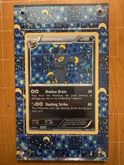 Eeveelution FULL SET Black & White Promo BW87 - BW94 Extended Art Cases X8 - Image 3
