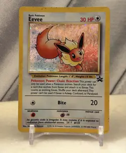 Pokemon TCG Eevee 11/53 Black Star Promo WOTC Holo - Image 1