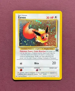 Pokemon 2000 Black Star Promo #11 Eevee Holo, Wizards of the Coast Vintage NM - Image 1